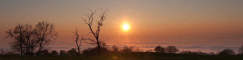 Tramonto dal Golf Club Colli Berici . 
 
