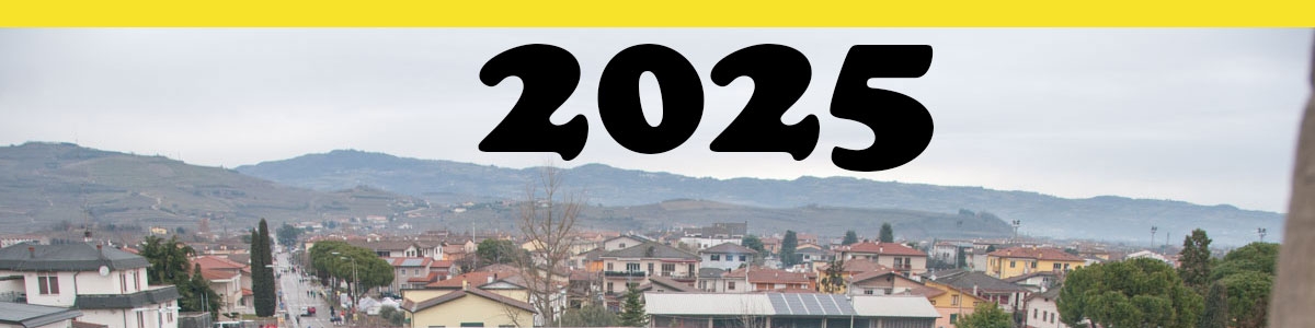 Le foto del 2025 .